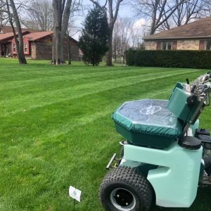 true property solutions lawn treatment